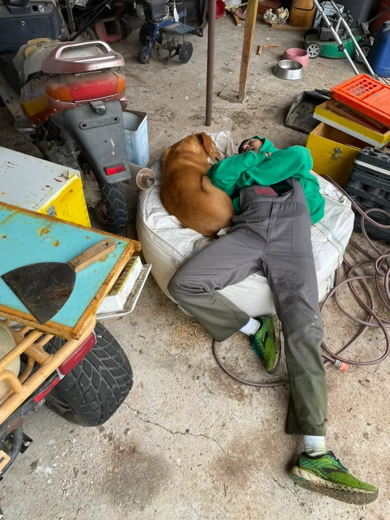 Nickerchen nach getaner Arbeit – mit Kanela, dem Hofhund unserer Nachbarn